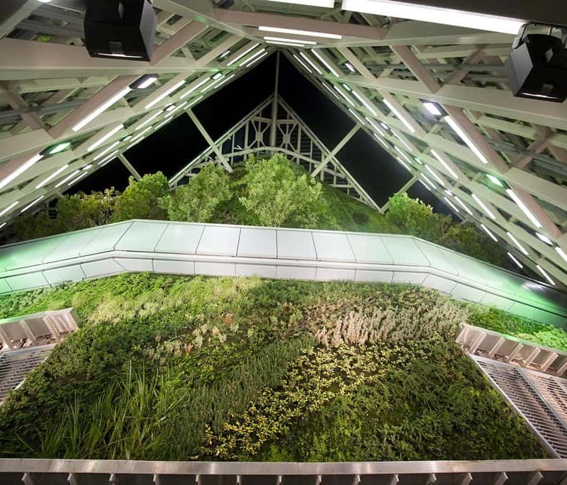 Jard铆n Vertical de la Torre de Cristal