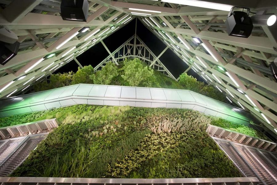 Jardín Vertical de la Torre de Cristal
